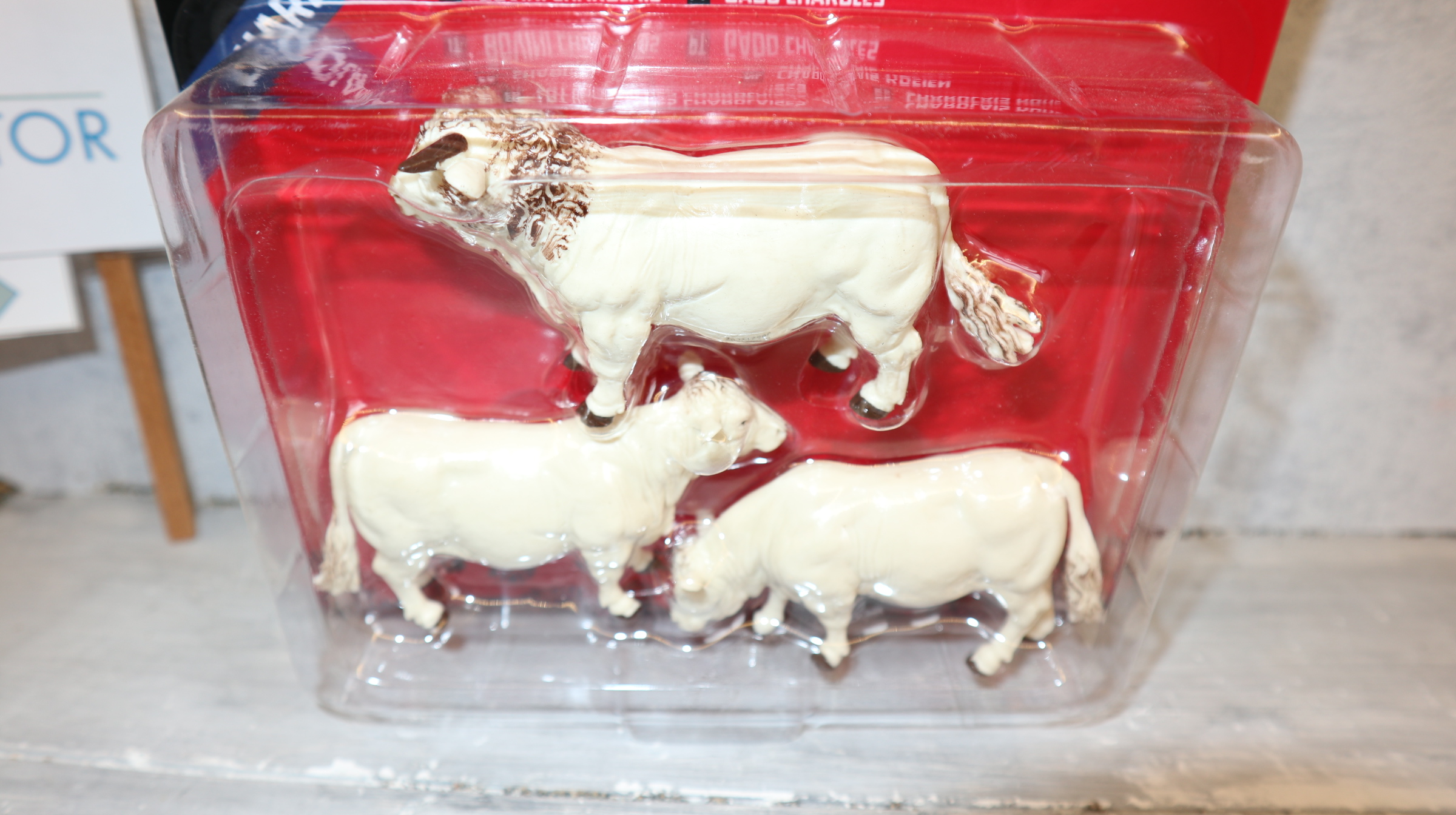 Britains 43240 in 1:32, Charolais Rinder , NEU in OVP